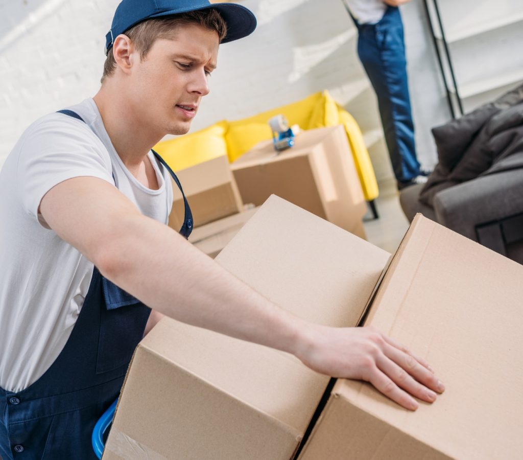 Expert furniture moving company Tauranga